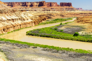 A group of paddlers paddle past on their way from Mineral Bottom to the confluence of the Green and Colorado rivers.