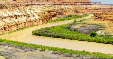 A group of paddlers paddle past on their way from Mineral Bottom to the confluence of the Green and Colorado rivers.