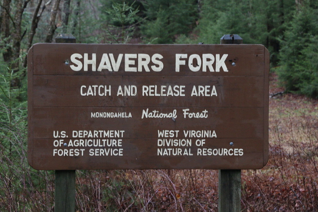 A USFS sign on the Shavers Fork. Photo Art Barket.