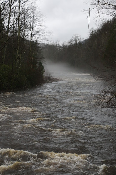 Fog on the Shavers Fork of the Cheat in West Virginia. Photo by Art Barket.