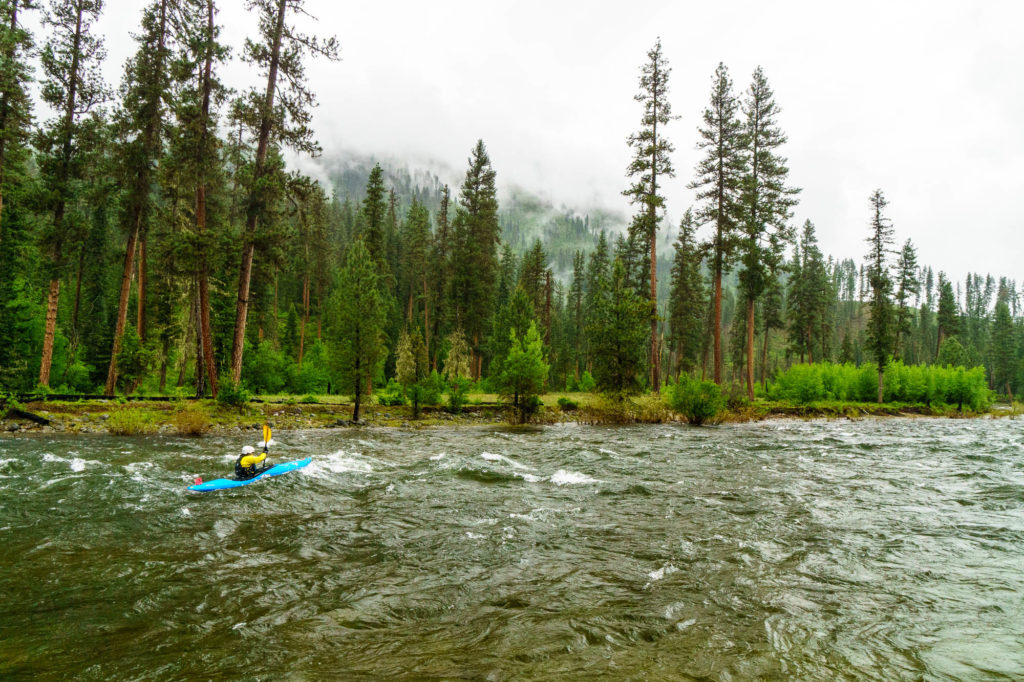 Daphnee Tuzlak on a rainy spring kayak trip down the Selway River in Idaho.