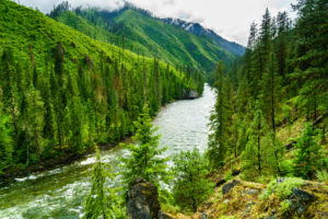 Selway River above the Moose Creek confluence.
