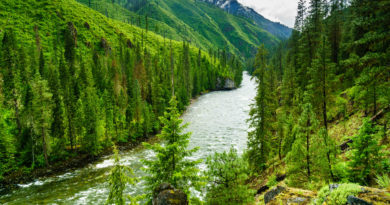 Selway River above the Moose Creek confluence.