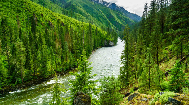 Selway River above the Moose Creek confluence.
